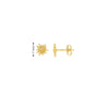 Edelweiss Ohrstecker strukturiert - Shanti Enterprise AG