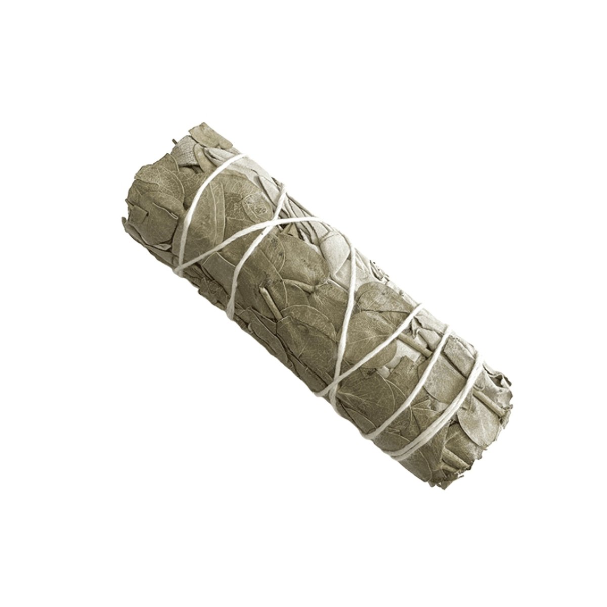 TERRA Bündel aus weissem Salbei und Eukalyptus 25 bis 30 g 10 cm - Shanti Enterprise AG