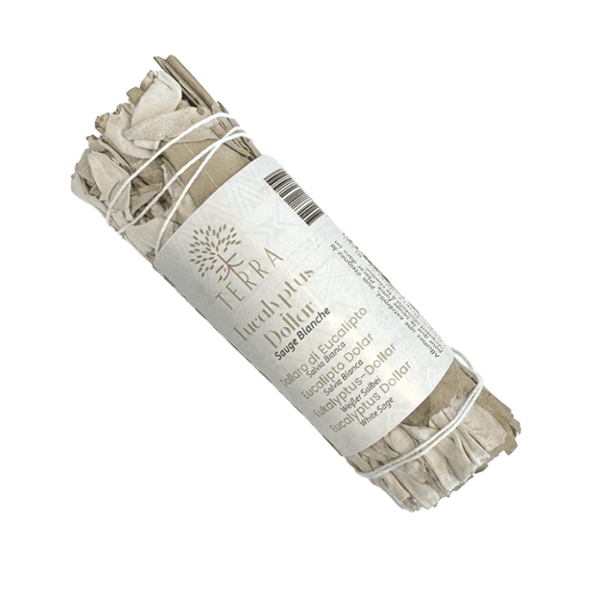 TERRA Bündel aus weissem Salbei und Eukalyptus Dollar 25 bis 30 g 10 cm - Shanti Enterprise AG