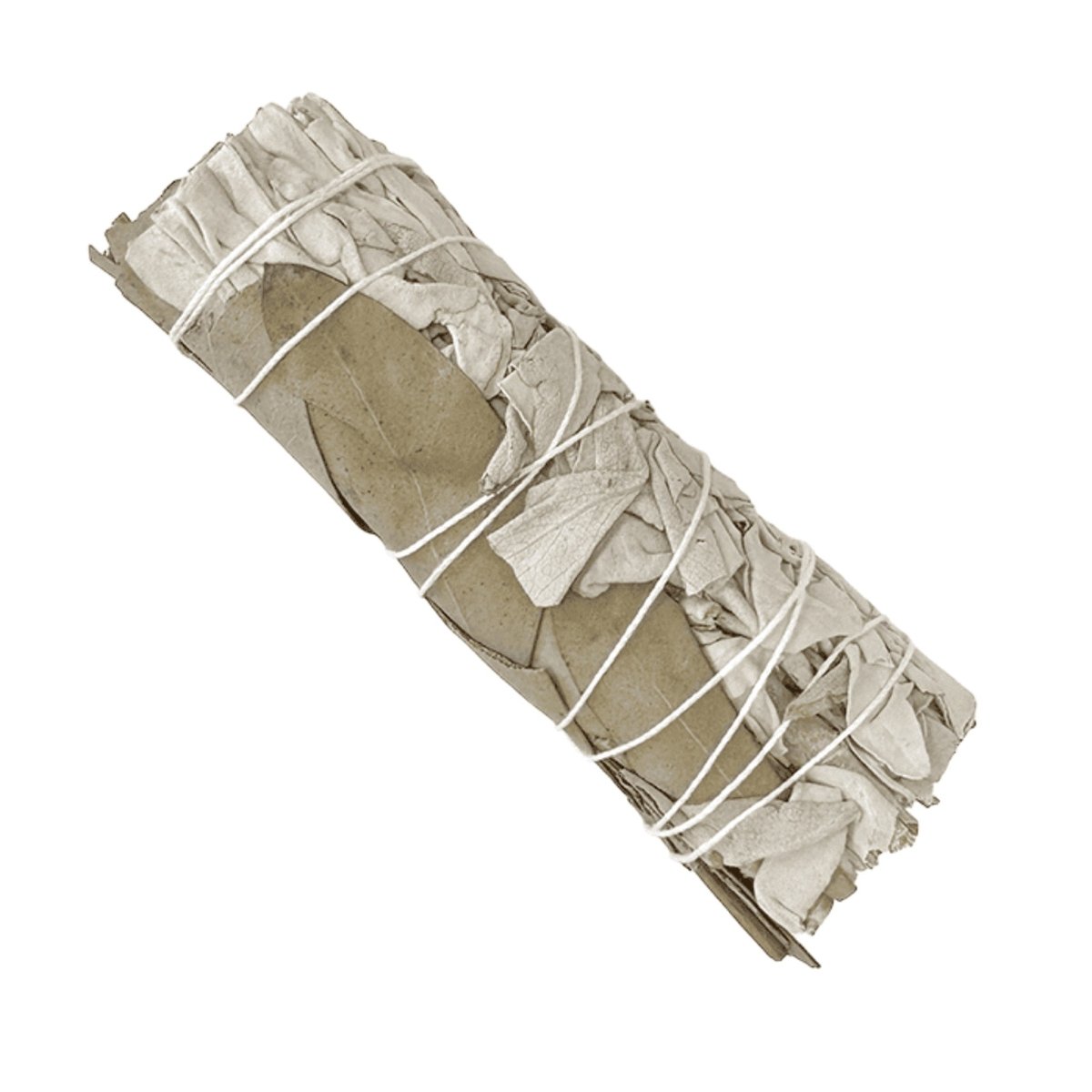 TERRA Bündel aus weissem Salbei und Eukalyptus Dollar 25 bis 30 g 10 cm - Shanti Enterprise AG