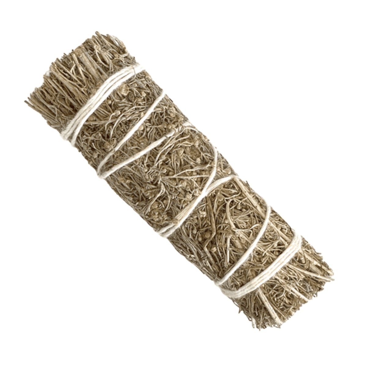 TERRA Wüstensalbei Bündel 25 bis 30 g 10 cm - Shanti Enterprise AG