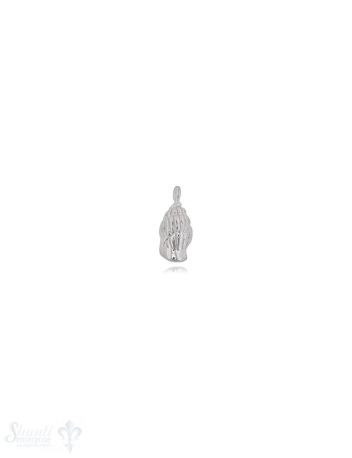 Cantharus Schnecke Anhänger Silber 19x8 mm gerippt Oese fix - Shanti Enterprise AG