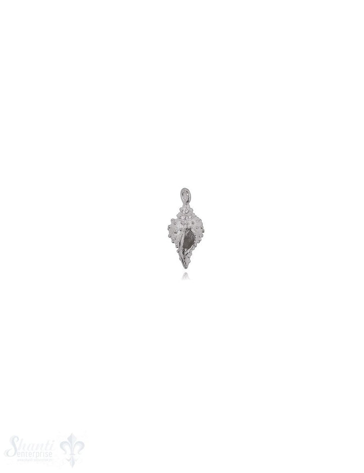 Cantharus Schnecke Anhänger Silber 20x8 mm getupf t Oese fix - Shanti Enterprise AG