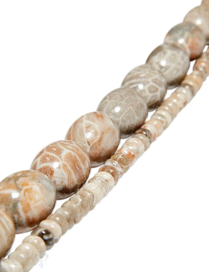 Fossilien-Koralle Strang beige meliert poliert - Shanti Enterprise AG