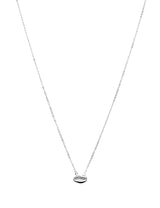 Kauri Muschel Kette Anker fein 38-42 cm Grössen verstellbar mit Federringschloss Silber 925 ec