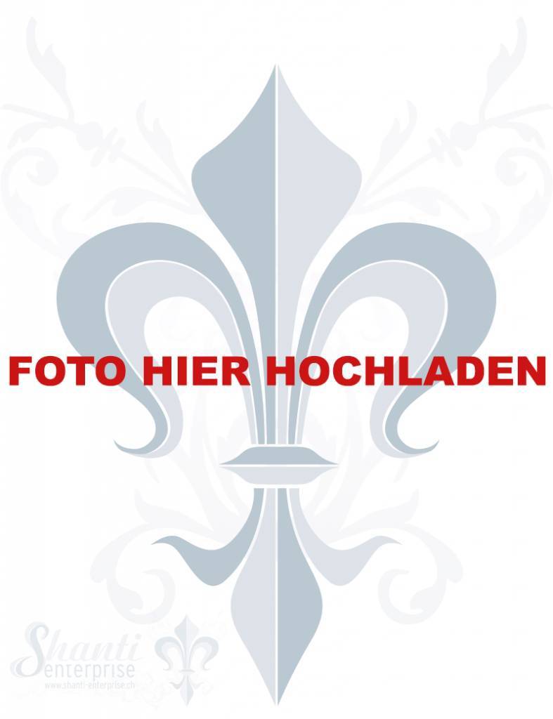 mit Foto oder Artikelnummer bestellen - Shanti Enterprise AG