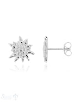 Ohrstecker Silber hell Edelweiss 11 mm ec
