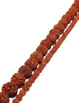 Rudraksha Kette braun Kugeln lang AA geknüpft mit rotem Zottel