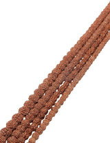 Rudraksha Strang hellbraun natur Kugeln AA
