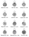 Sternzeichen Anhänger 10 mm Plaquette mit Öse fix ID 2.6 mm Silber 925 - Shanti Enterprise AG